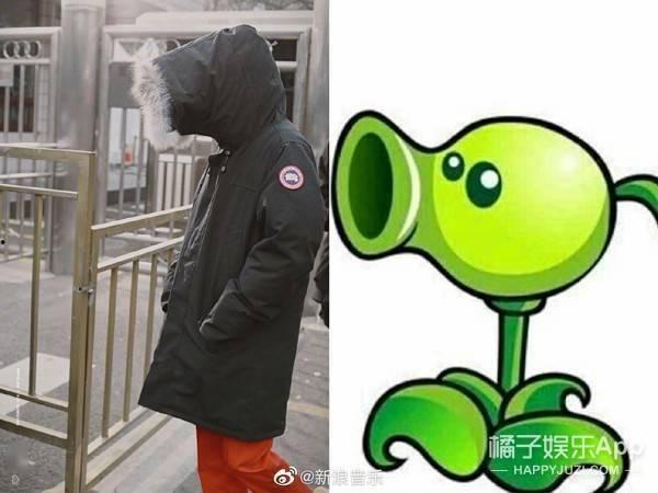 喜喜吃瓜娱乐,揭秘娱乐圈幕后故事，带你领略明星真实生活